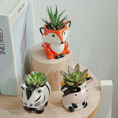 6 Pcs Set Cute Cartoon Animal Shaped Succulent Cactus Flower Pot/Planter/Container For Home Garden Office Desktop Decoration - Plants Not Included (Mini,Art Deco) #TOP3