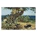Joaquin Sorolla The Carob Tree Puzzles for Adults, 1000 Piece Kids Jigsaw Puzzles Game Toys Gift for Children Boys and Girls, 20" x 30"