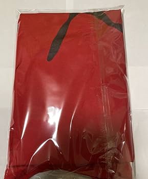 【即購入OK】STONE  クルーネックロンT サイズS レッド 全2色【RED TAiL/レッドテイル】2023AW「KNUCKLE-22 L/S Tee