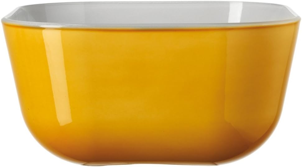 Leonardo Gusto Ambra Glass Bowl, 82 oz, Set of 2