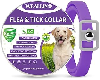 WEALLIN Collar for Dogs Repellent Purple, Built-in Pant-Based Formula Strong Repellency Slow Release Purple Dog Collars, 1 PC Lasting Deterrence and Protection, Water-Resistant Adjustable