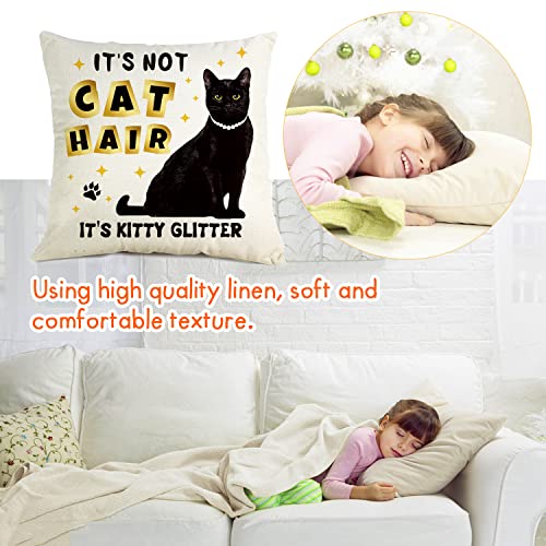 Ouz It's Not Cat Hair-It's Kitty Glitter, Funny Cat Throw Pillow Cover, Decorative Pillow Case,Gift For Cat Lovers, Sofa Bed Living Room Home Decoration, 18X18 Inch(8D326) #TOP2