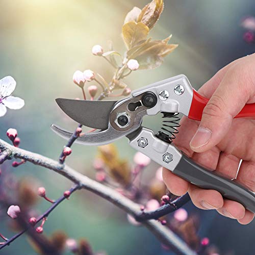 Oumefar Pruning Shears Manual Branch Pruner Steel for Cutting Stems and Twigs for Garden Fruit Picking Potted Pruning