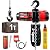 NEWTRY 2-Speed Electric Chain Hoist 2200lb, Pendant & Remote Control, Brushless Overhead Crane Lift, G80 10ft Lifting Height Power Electric Hoists 110V