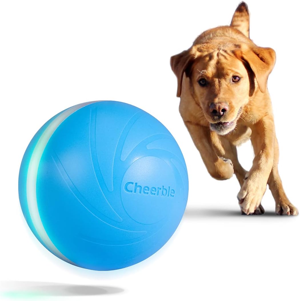 self moving dog ball