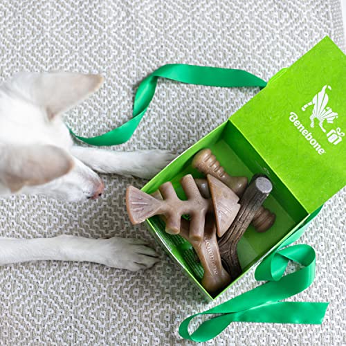 Benebone Medium Holiday 4-Pack Dog Chew Toys for Aggressive Chewers, Made in USA, 60lbs and Under - Image 3