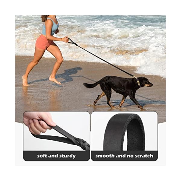 Joytale Braided Leather Dog Leash, 6/5/4FT Strong and Durable Dog Training Leash, Real Cowhide Leather Dog Leashes for Large Medium Small Breed Dogs, Heavy Duty Clasp, Black, 5ft*5/8in Joytale Braided Leather Dog Leash, 6/5/4FT Strong and Durable Dog Training Leash, Real Cowhide Leather Dog Leashes for Large Medium Small Breed Dogs, Heavy Duty Clasp, Black, 5ft*5/8in