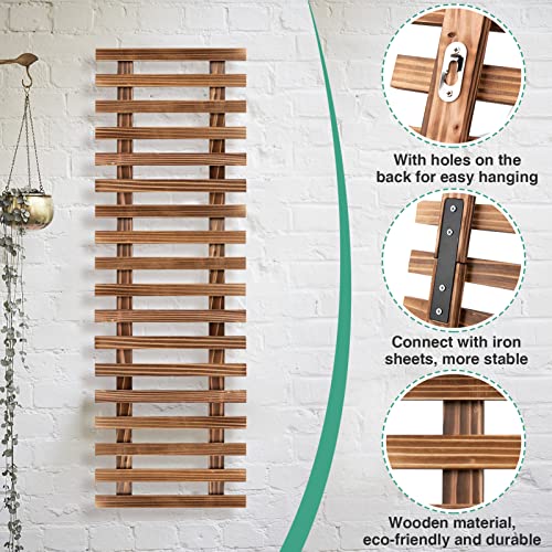 Apipi 2 Pcs Wooden Wall Planters, Detachable Hanging Planter Holders, Sturdy Wall Mounted Plant Stand Ladders Vertical Rack Wall Decor For Indoor Home Balcony Garden #TOP2