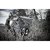 Ameristep Care Taker Kick Out Pop-Up Ground Blind, Premium Hunting Blind, Mossy Oak Break-Up Country Camo