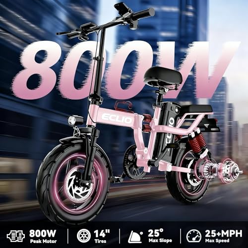 Folding Electric Bike, Peak 800W Motor 25MPH,48V 14Ah