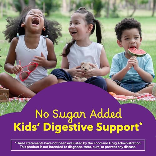 Lil Critters Kids Fiber Gummies
