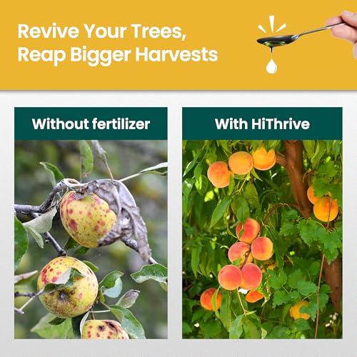 Image of 32oz Fruit Tree Fertilizer - Makes 32 Gallons of Fruit Tree Spray Plant Fertilizer for Blueberries, Strawberry Plant, Apple & More - Promotes Vibrant Foliage, Strong Branches, and Abundant Harvests