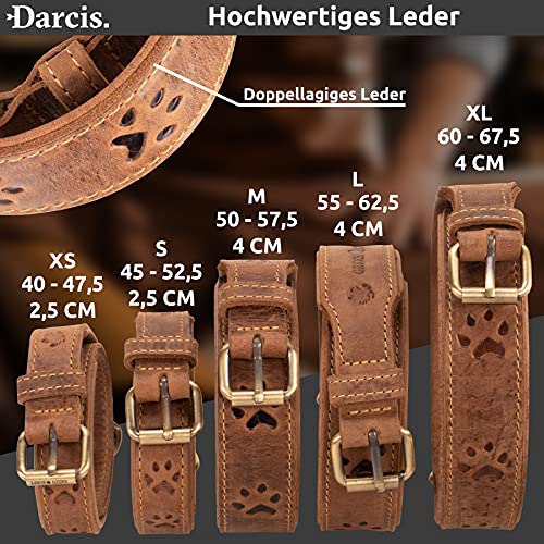 Darcis Hundehalsband Braun - Extrem Robustes Lederhalsband aus hochwertigem Rindsleder - Ideal für Starke Hunde - Halsband Hund - Hundehalsband Leder - Lederhalsband Hund - 55-62,5 cm Halsumfang