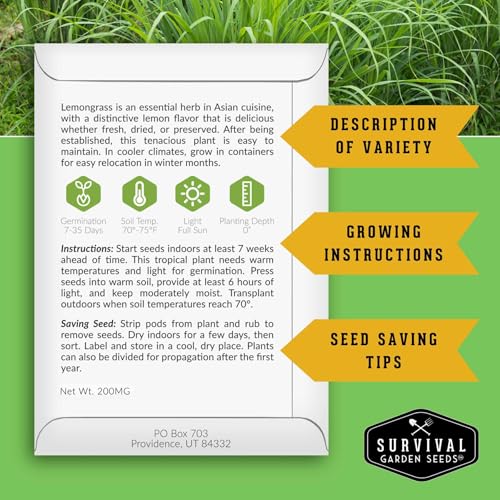 Lemongrass Seeds for Planting - Lemon Scented Asian Lemongrass for Your Home Vegetable Garden - Heirloom Non-GMO Open-Pollinated - Survival Garden Seeds (1 Pack) - Image 2