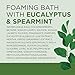 Dr Teal's Foaming Bath with Pure Epsom Salt, Relax & Relief with Eucalyptus & Spearmint, 34 fl oz (Pack of 2)