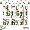 67 papel de regalo de Navidad, papel de regalo, 67 Meme divertido papel de regalo de Navidad para niños, memes de Santa 67, Funny Six Seven Holiday (36 x 2 blanco)