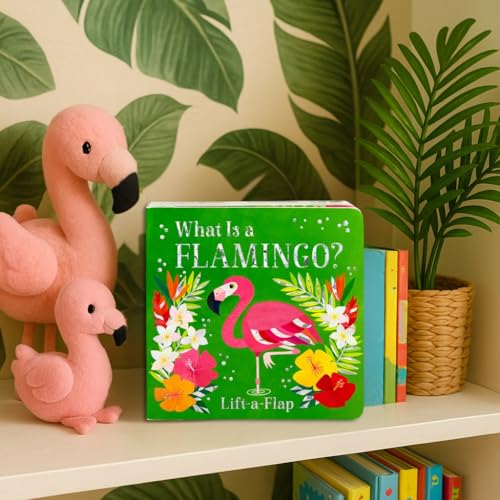 What Is a Flamingo?