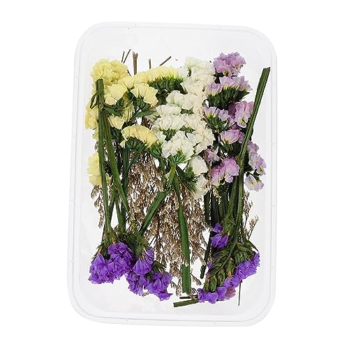 Flores secas decorativas para centro de mesa Holibanna