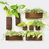 LaLaGreen Wood Planter Box for Plants (8 Pack) Wooden Wall Hanging Planters for Indoor Plant Holder Vase for Dried Flowers, Modern Country Rustic Wall Decor Living Room Bedroom Office Home Garden