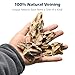 KINGRUI Natural Rocks Dragon Stone 1-2.5 Inches Decorative Stones for Terrariums,Miniature,Fairy Gardens,Bonsai,DIY Crafts, Aquariums,Dioramas & Wargaming-2lb