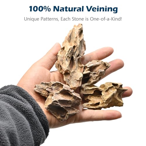 Image of Natural Rocks Dragon Stone 1-2.5 Inches Decorative Rocks for Miniature Terrariums,Fairy Gardens,Bonsai,DIY Crafts, Aquariums Dioramas & Wargaming-1lb