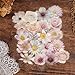 50PCS Flower Stickers PET Transparent Stickers Nature Ballet Pink Flower Decals Waterproof Decorative Decal for Scrapbook DIY Crafts Album Bullet Journal Water Bottles Phone Cases Laptops (pink1)