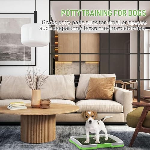 Tapis de dressage pour chien anti-fuite : résout les accidents de propreté du chiot