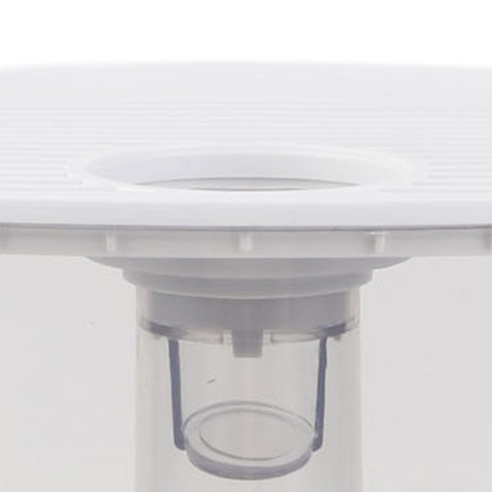 Generic Umidificatore per Terrari per Rettili 2,5 Litri Pratico Nebulizzatore per Rettili e Piante Tropicali