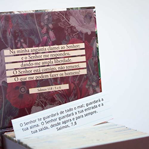 Preciosas Promessas de Deus - Com 220 versículos e Letras grandes - Mod.pp-05: 3