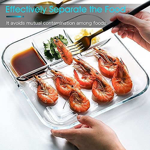 Nutriups Glass Divided Plate Quadrate Glass Compartment Plate Glass Sectional Plate Glass Plate With Dividers, 10 In #TOP3