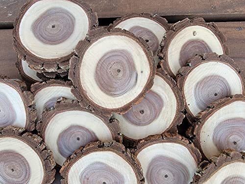 Unfinished Wood Slices With Bark, 18 Natural Walnut Tree Slices, 3" - 3.5" Coasters, Ornaments, Wood Burning, Crafts #TOP7
