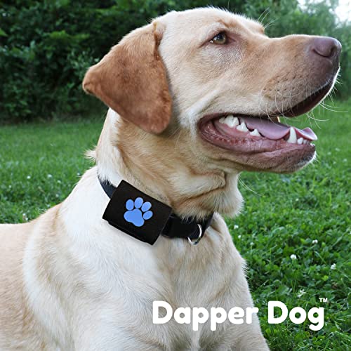 Dapper Dog Pet Tag Silencer And Airtag Holder (Black With Blue Paw) #TOP1