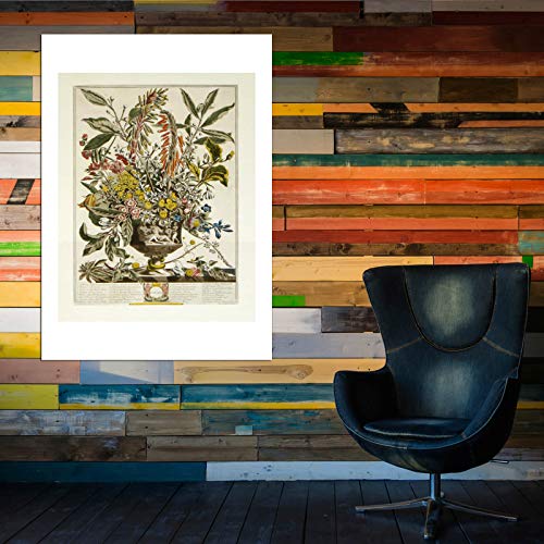 Roberty Furber Grande Affiche d'Archivage Mate Janvier 12 Mois de Fleurs Spiffing Prints - 6
