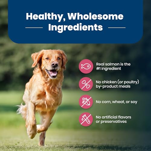 Image of Blue Buffalo Life Protection Formula Adult Dry Dog Food, Helps Build and Maintain Strong Muscles, Made with Natural Ingredients, Salmon & Brown Rice Recipe, 5-lb. Bag
