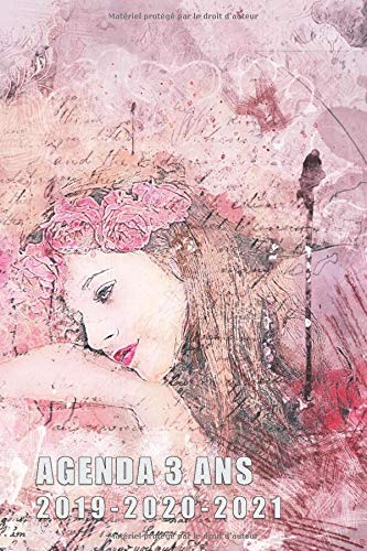 Télécharger AGENDA 3 ANS 2019-2020-2021: CAHIER JOURNAL - 36 MOIS DE RENDEZ-VOUS, DE PROJETS ET DE SOUVENIRS Livre PDF Gratuit
