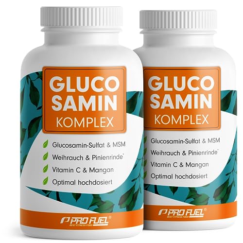 Glucosamin Komplex hochdosiert, 2x120 Kapseln, Hochwertige Matrix mit Glucosamin, Weihrauch, MSM, Pinienrinde, Mangan & Vitamin C aus Hagebutten-Extrakt, optimal hochdosiert, Vorrat für 2 Monate