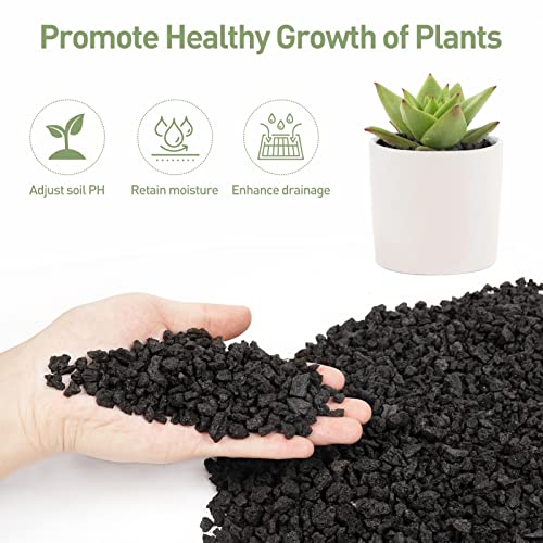Gaspro 2.5Lbs Lava Rocks For Plants, 1/5 Inch Black Gravel For Succulent, Cactus, Bonsai Tree, Pure Volcanic Rocks, Top-Dressing, Good Drainage #TOP2