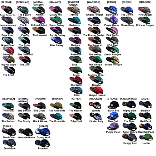 Image of Capiche [99+ Variations] Special Series Snapback Cap - One Size Unisex Men