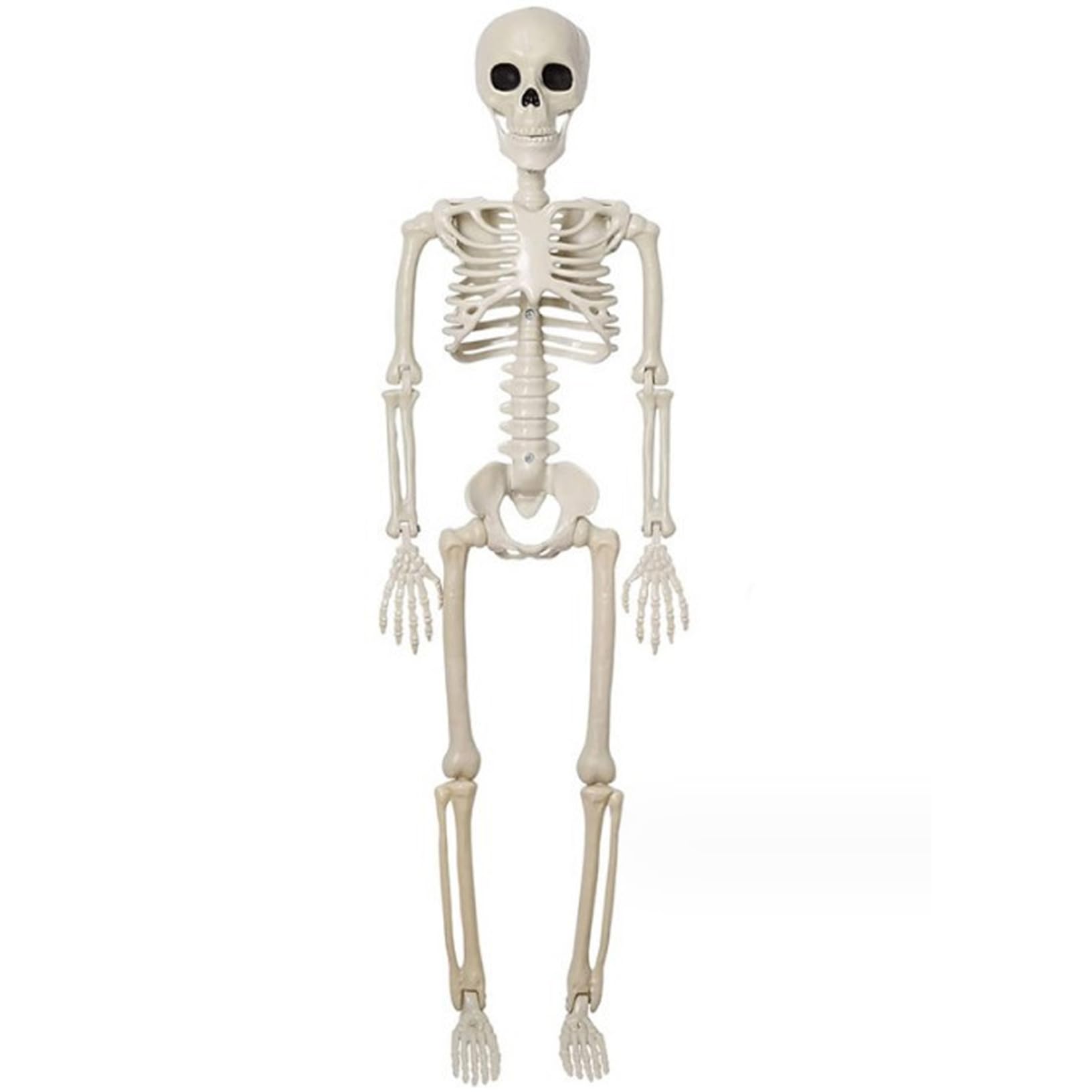 Monwssoe Halloween Decor, Halloween Skeleton 16'' Small Skeleton Realistic Plastic with Movable Joints Full Body Decor for Haunted House Props Decorations