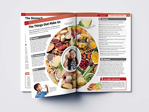 Image of Human Body - Stomach And Digestive System: Knowledge Encyclopedia For Children