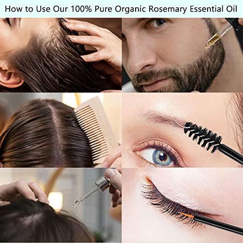 Multipurpose Rosemary Oil For Hair Growth, Eyebrow, Eyelash, Beard& Thinning Hair, Nourish Scalp, Improve Blood Circulation, Hair Loss Treatment, 100% Pure Organic Natural Rosemary Essential Oil #TOP4