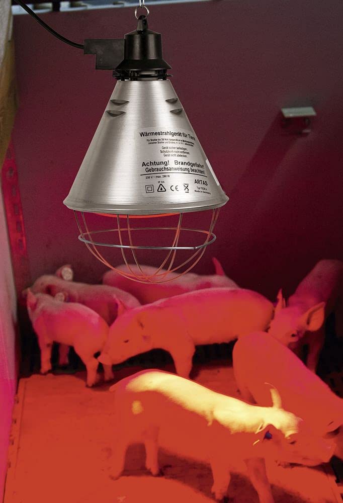 Kerbl Kit lampe à rayons infrarouge chauffants 250 W + réflecteur porte-lampe avec grille de protection, chaîne de fixation et câble de 2,5 m
