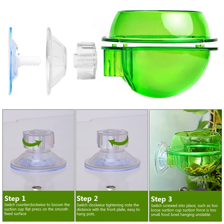 Mangeoire pour reptiles - Ventouse Gamelle pour Caméléons, Tortues, Geckos, Serpents, Iguanes - Anti-fuite d'eau et de nourriture