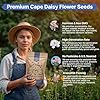 Cape Daisy Flower Seeds Pack 1 oz - Over 2,550 Non-GMO Heirloom Cape Daisy Seeds for Planting, Perennial Flowers in Individual Seed Packet, Seed for Planting Home Garden Indoor & Outdoor Gardening #5