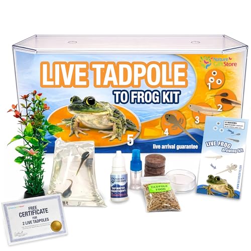 Tadpole to Frog Starter Kit - Includes Certificate for 2 Live Tadpoles - All-in-One Bundle with...