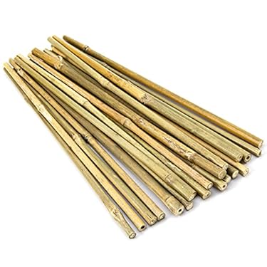 AMAZON - Pllieay 20pcs 12 Inch Plant Stakes, Garden Stakes, Bamboo Stakes, Plant Support Stakes for Indoor Plants, Tomato Stakes