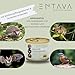 ENTAVA Frisches Insektenpüree - 100% Insekten, Igelfutter, Vogelfutter, Reptilienfutter, (Wild-) vogelfutter, Kleinnagerfutter, Frettchenfutter, Fischfutter (200g)
