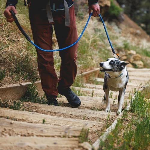 RUFFWEAR Knot-a-Leash Reflektierende Hundeleine, große, zugfreie 1,5 m Lange Hundeleine mit gepolstertem Griff, leichte und robuste Hundeleine, Anti-Tangle-Leine, S, Obsidianschwarz