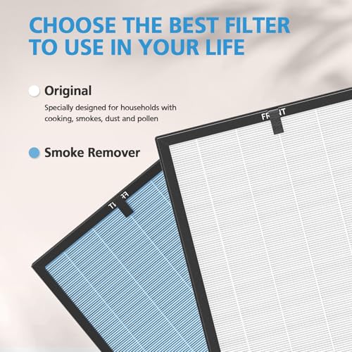 Image of AP303 /AP304 Replacement Filter Compatible with DAYETTE & FRESHDEW AP303 /AP304, 3-in-1 Filtration System Filters with Activated Carbon for Dust, Pet Dander 2 Pack (Original Filter)