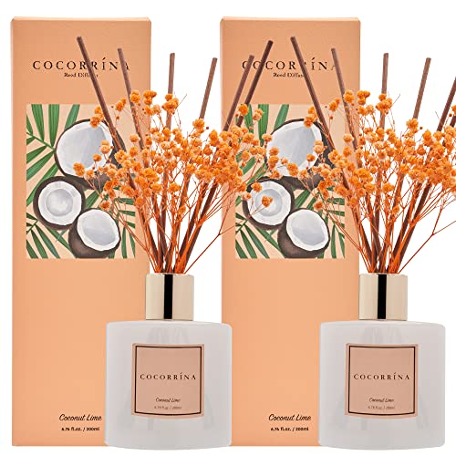 Cocorrína Premium Reed Diffuser Set With Preserved Baby's Breath & Cotton Stick Coconut Lime 2 Packs, 6.7Oz Scent Fragrance Oil Diffuser For Bedroom Bathroom Home Décor #TOP2